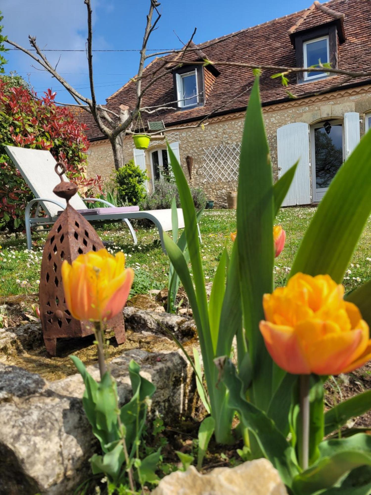 le clos des etoiles B&B Le Bugue Extérieur photo